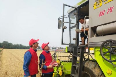 河北電力簡訊：芒種忙忙割，農家樂啟鐮