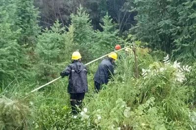 過泥濘，涉洪水，穿山谷，冒雨巡線護電，第一時間處理災情險情