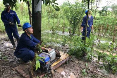 樂山電力搶修110千伏線路故障，迅速恢復(fù)供電