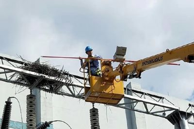 海寧市供電公司拆除贊山邊門架二號(hào)主變上兩處“巨型”鳥窩