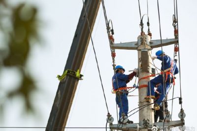 潁上縣劉集鄉(xiāng)兩條10千伏主干線路進行集中消缺