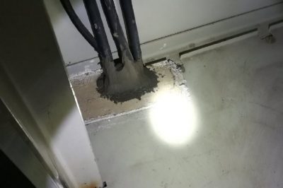 小動物，變電站非請勿來