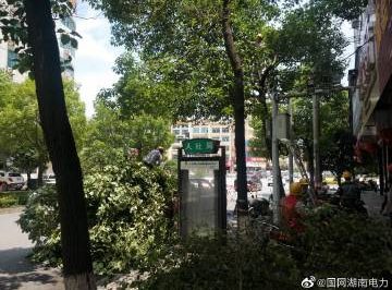 #向配網(wǎng)開戰(zhàn)#風景這邊獨好，砍青掃障