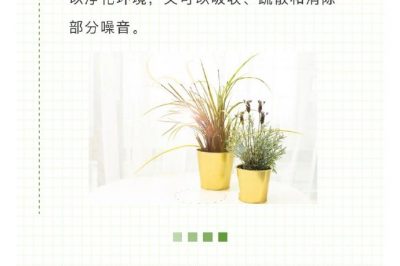 家里冰箱洗衣機(jī)噪音越來越大？讓它們安靜下來很簡單！