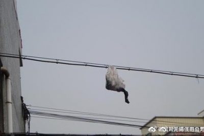 你的隨手一“拋”，可能導(dǎo)致跳閘停電！