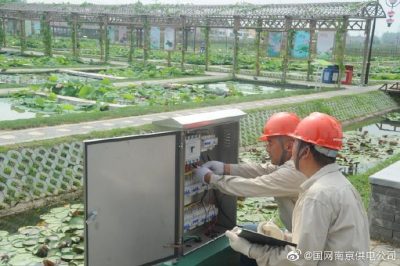 國網(wǎng)南京市江北新區(qū)供電公司安裝變壓器、環(huán)網(wǎng)柜、配電箱等配電設(shè)備