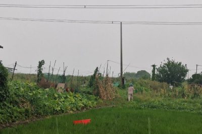 遭遇龍卷風(fēng)突襲10千伏清東線發(fā)生倒桿、斷線事故