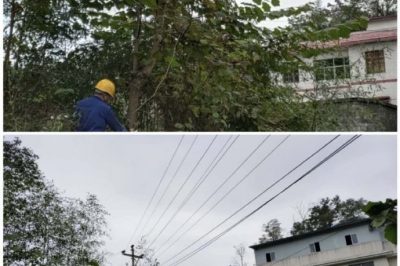 對10千伏禾臘線消水坨臺區(qū)、石家寨臺區(qū)進(jìn)行巡視