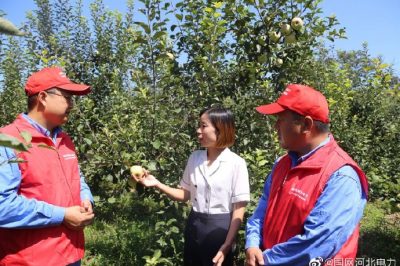 到新華村長(zhǎng)嶺山莊，幫助客戶(hù)檢查用電設(shè)備