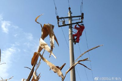 對10千伏春興線海防支線進行清掃、檢修