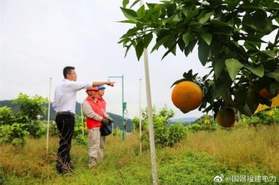 助農(nóng)增收 金秋助農(nóng)上門服務