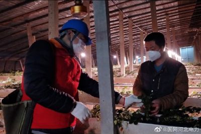 為果蔬大棚檢查供電線路、開關(guān)、照明燈具，以及水泵、卷簾機(jī)等設(shè)備